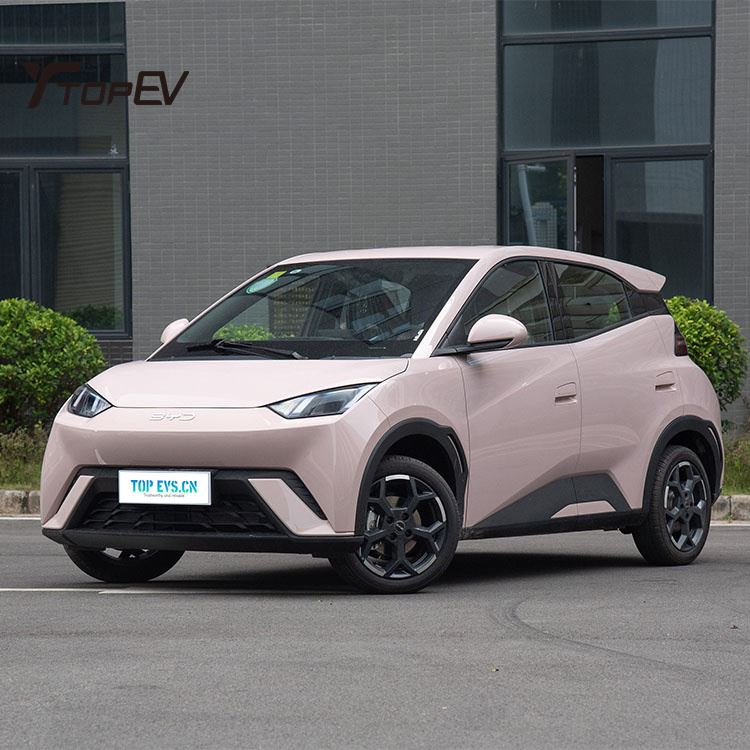 2025 BYD Seagull 405KM Cina Auto elettrica